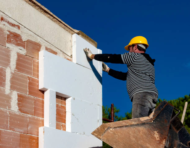 Best Best Insulation Companies  in Rancho Viejo, TX
