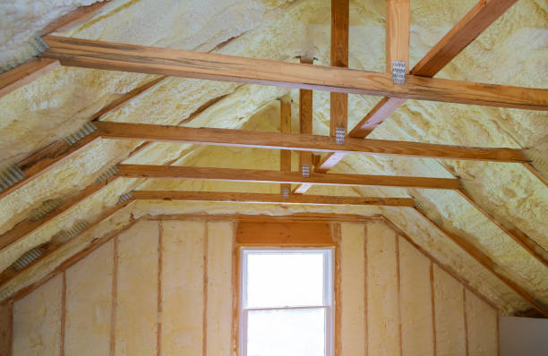 Insulation Contractors for Homes in Rancho Viejo, TX