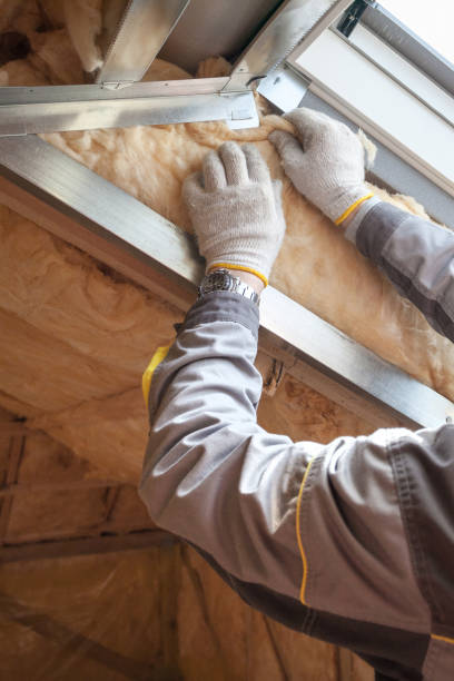 Garage Insulation Installation in Rancho Viejo, TX