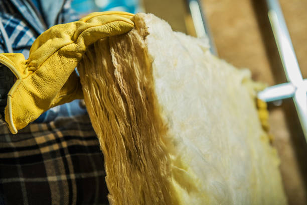 Best Insulation Replacement Services  in Rancho Viejo, TX