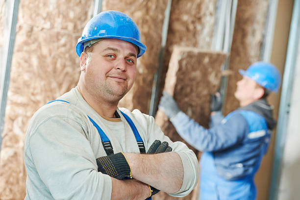 Best Cellulose Insulation  in Rancho Viejo, TX