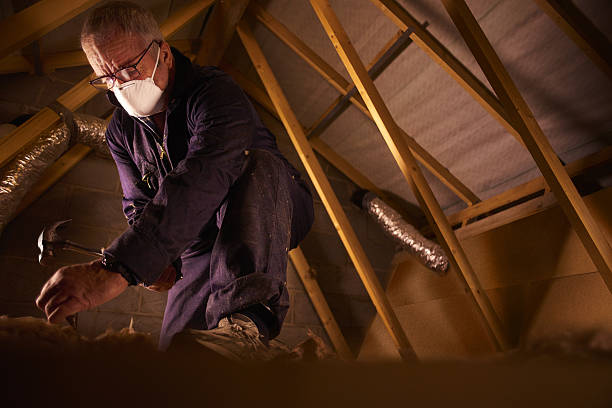  Rancho Viejo, TX Insulation Contractor Pros